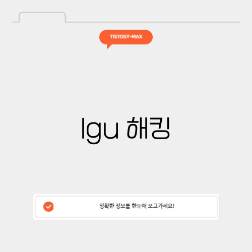 lgu 해킹