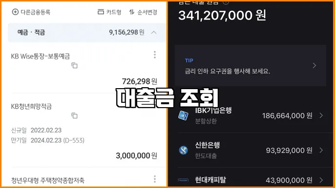 대출금 조회