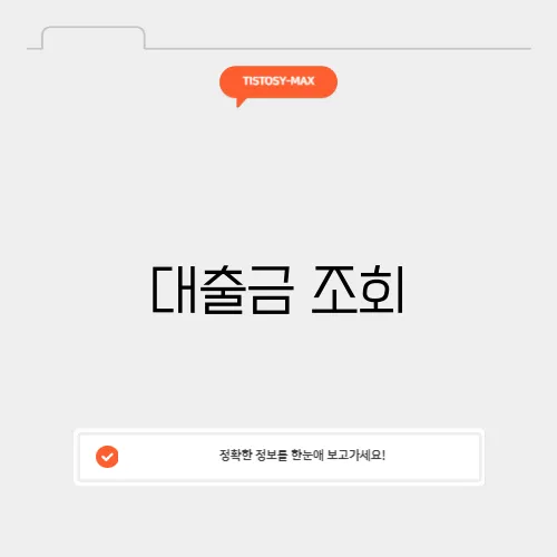 대출금 조회