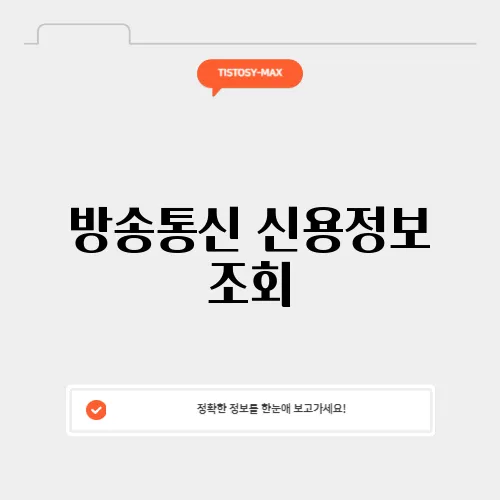 방송통신 신용정보 조회