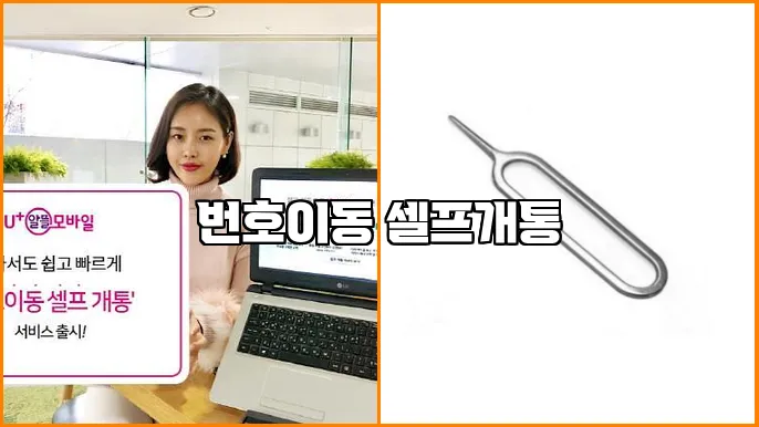 번호이동 셀프개통