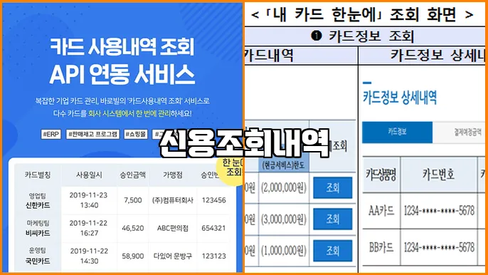 신용조회내역