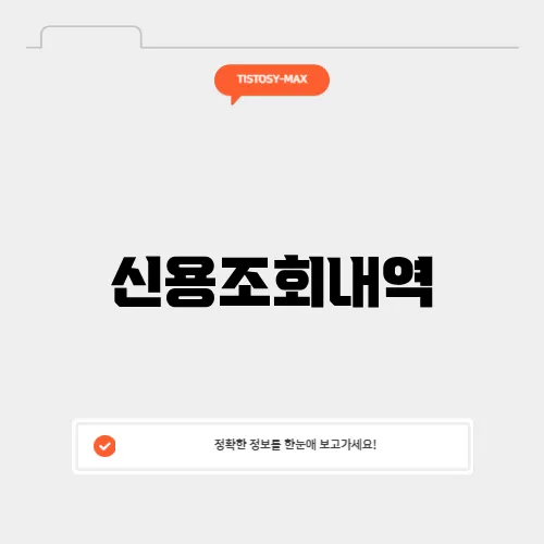 신용조회내역