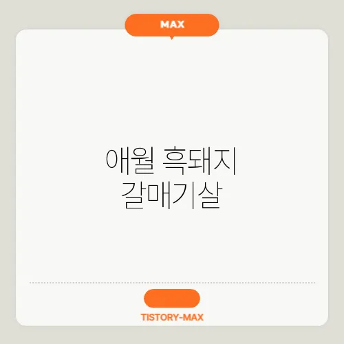 애월 흑돼지 갈매기살